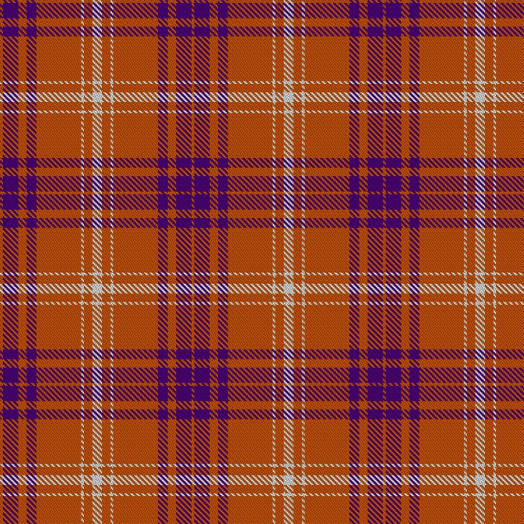 Tartan image: Elkmont Game Day Collection. Click on this image to see a more detailed version.