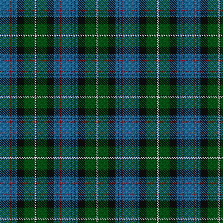 Tartan image: Hogg Dress. Click on this image to see a more detailed version.