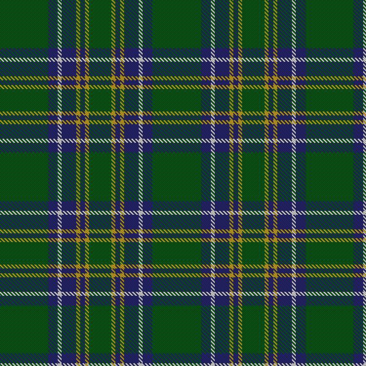Tartan image: Duke of York Hunting. Click on this image to see a more detailed version.