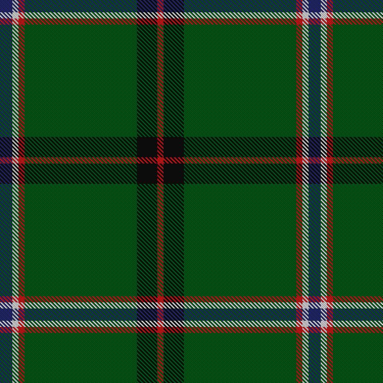 Tartan image: Military Medical Memorial (USA). Click on this image to see a more detailed version.