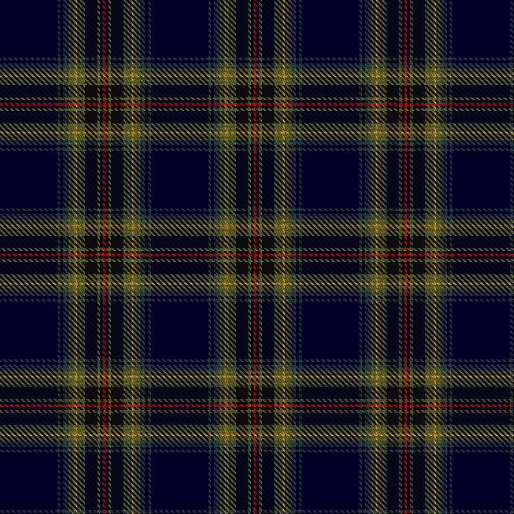 Tartan image: Dama Weekend. Click on this image to see a more detailed version.