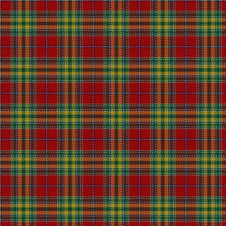 Tartan image: Dunblane. Click on this image to see a more detailed version.