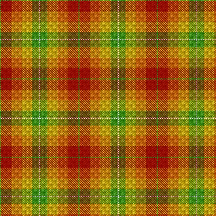 Tartan image: Max Reger, The. Click on this image to see a more detailed version.