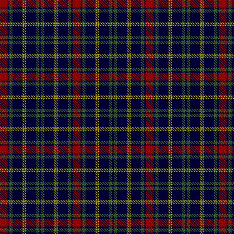 Tartan image: Dunbog Primary School. Click on this image to see a more detailed version.
