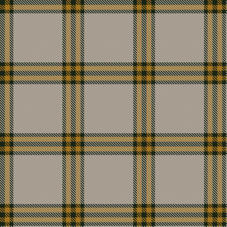 Tartan image: Young in Australia. Click on this image to see a more detailed version.