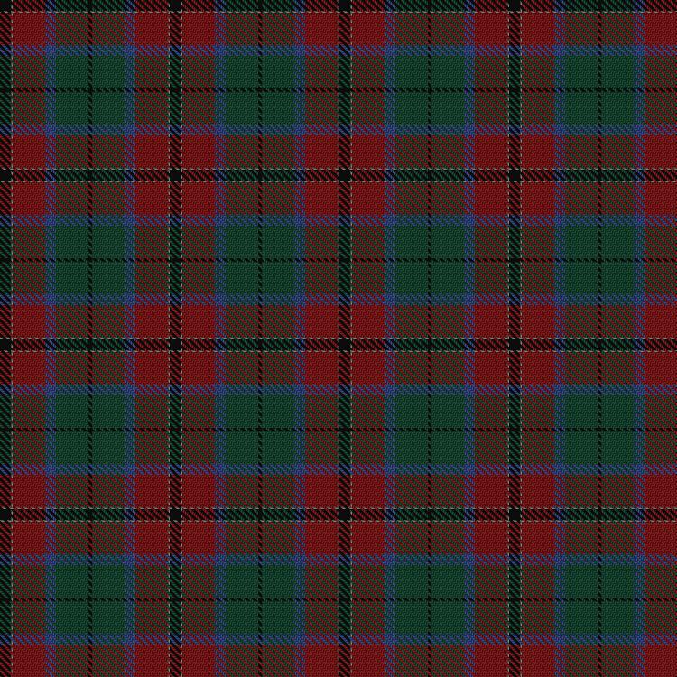 Tartan image: Eachaidh. Click on this image to see a more detailed version.
