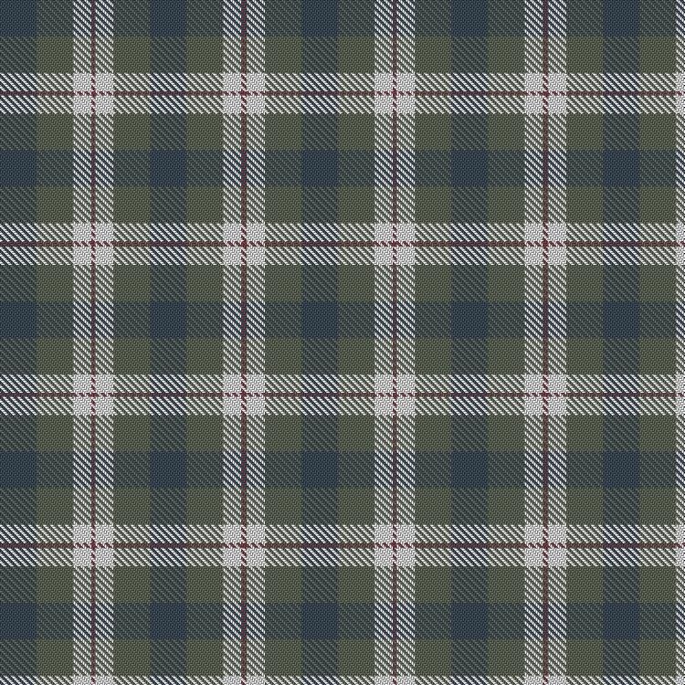 Tartan image: Farooq in Livingston (Personal). Click on this image to see a more detailed version.
