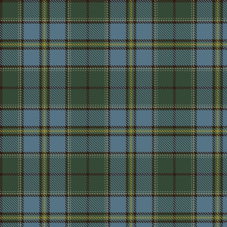 Tartan image: Carter (Savannah). Click on this image to see a more detailed version.