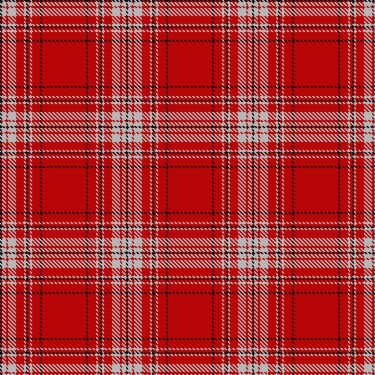 Tartan image: Valour. Click on this image to see a more detailed version.