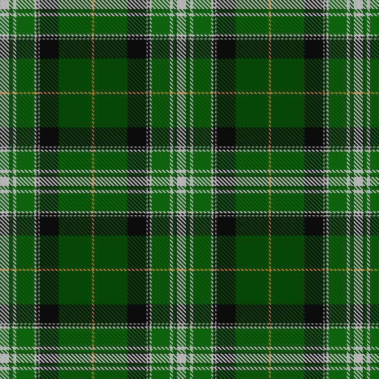 Tartan image: New World Irish. Click on this image to see a more detailed version.