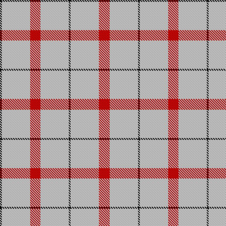 Tartan image: St Georges Check. Click on this image to see a more detailed version.