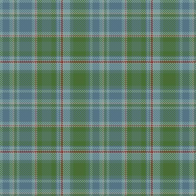 Tartan image: Morddyn. Click on this image to see a more detailed version.