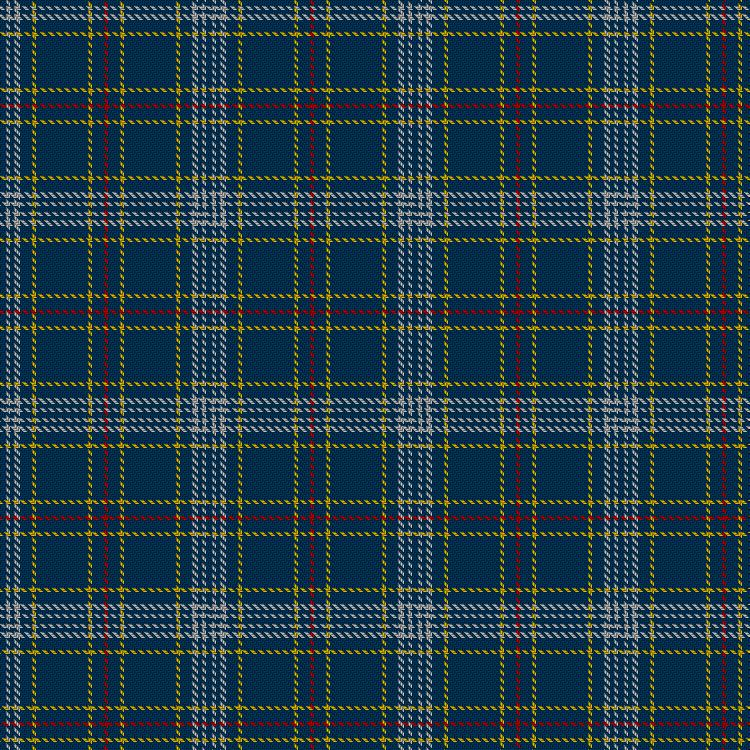 Tartan image: Dundee Football Club. Click on this image to see a more detailed version.