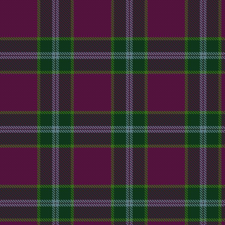 Tartan image: Michie Dress, Andrew. Click on this image to see a more detailed version.