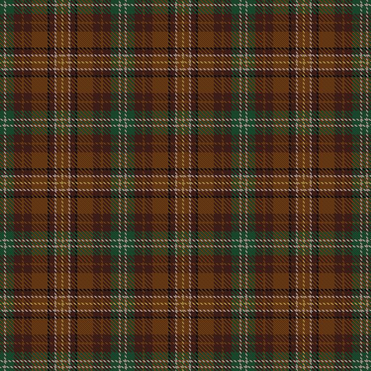 Tartan image: Blaylock Hunting. Click on this image to see a more detailed version.