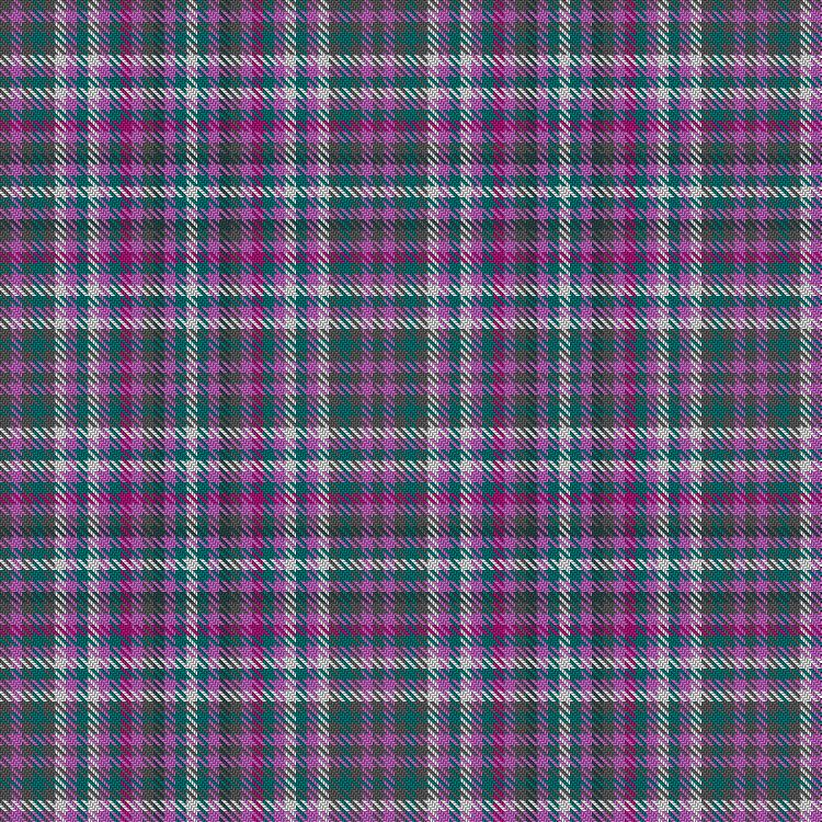 Tartan image: Welly (Personal). Click on this image to see a more detailed version.