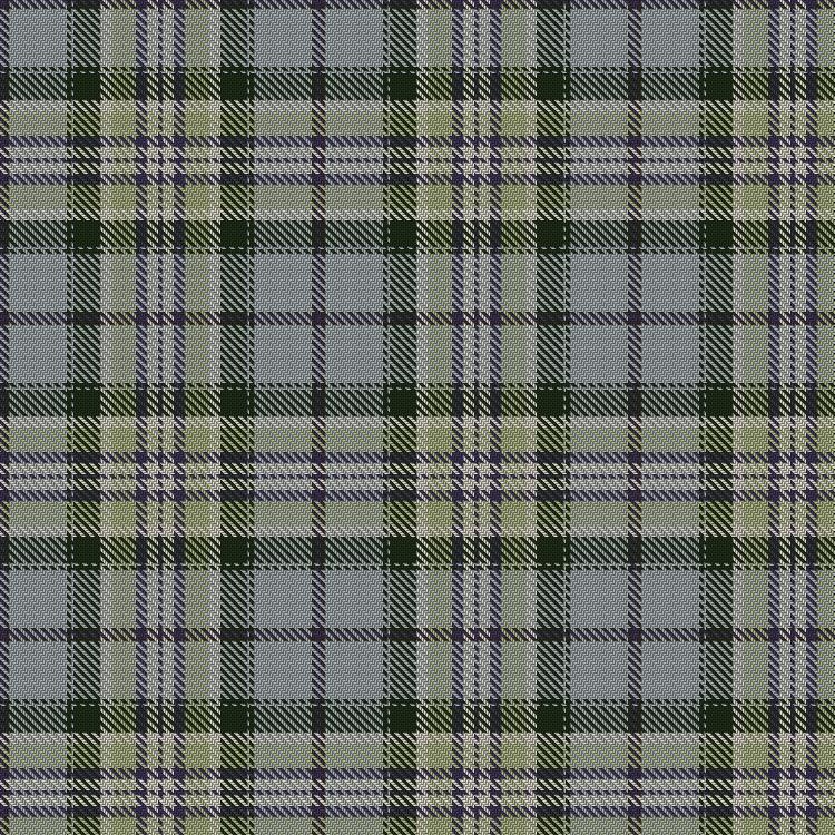 Tartan image: Chalk, Robert (Personal). Click on this image to see a more detailed version.