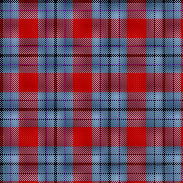 Tartan image: Double Elvis Gallery. Click on this image to see a more detailed version.