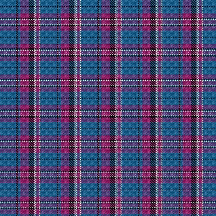 Tartan image: Yale College, Wrexham. Click on this image to see a more detailed version.