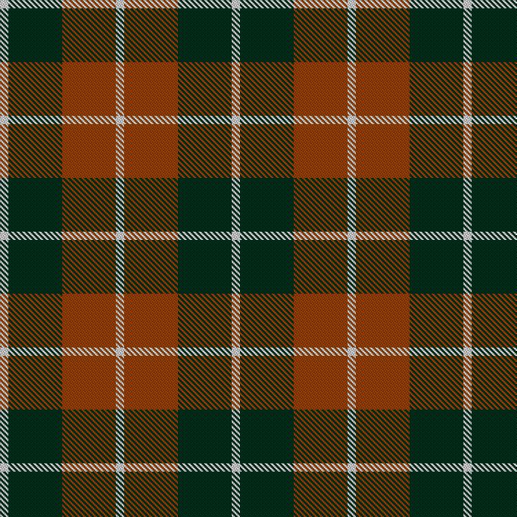 Tartan image: Dunoon Irish. Click on this image to see a more detailed version.