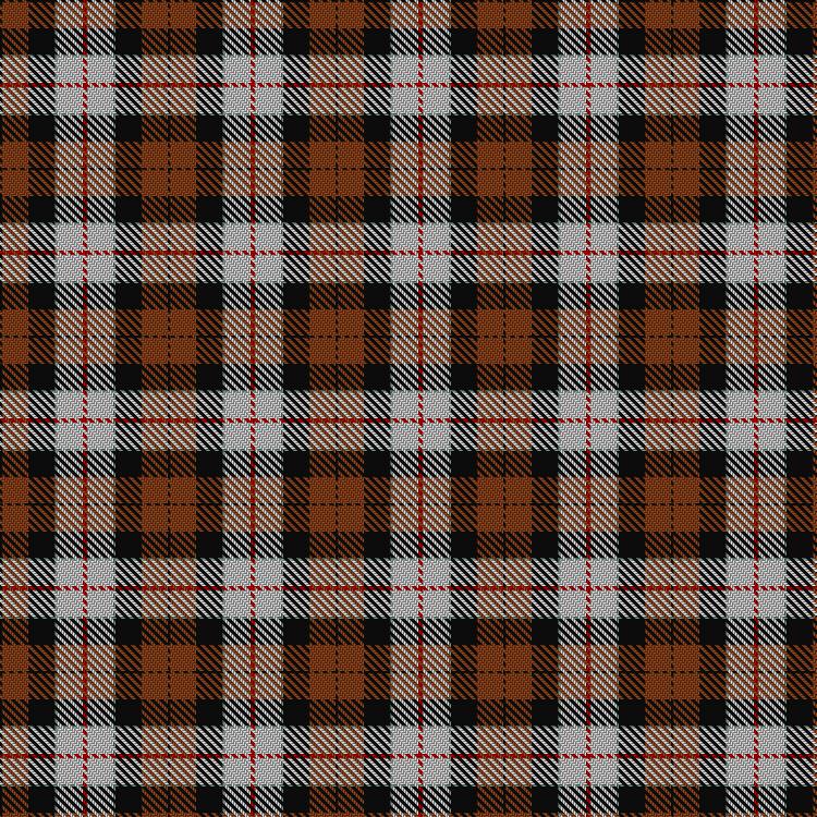Tartan image: Dutch Dress. Click on this image to see a more detailed version.