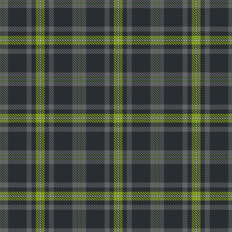 Tartan image: Inchforth (Personal). Click on this image to see a more detailed version.