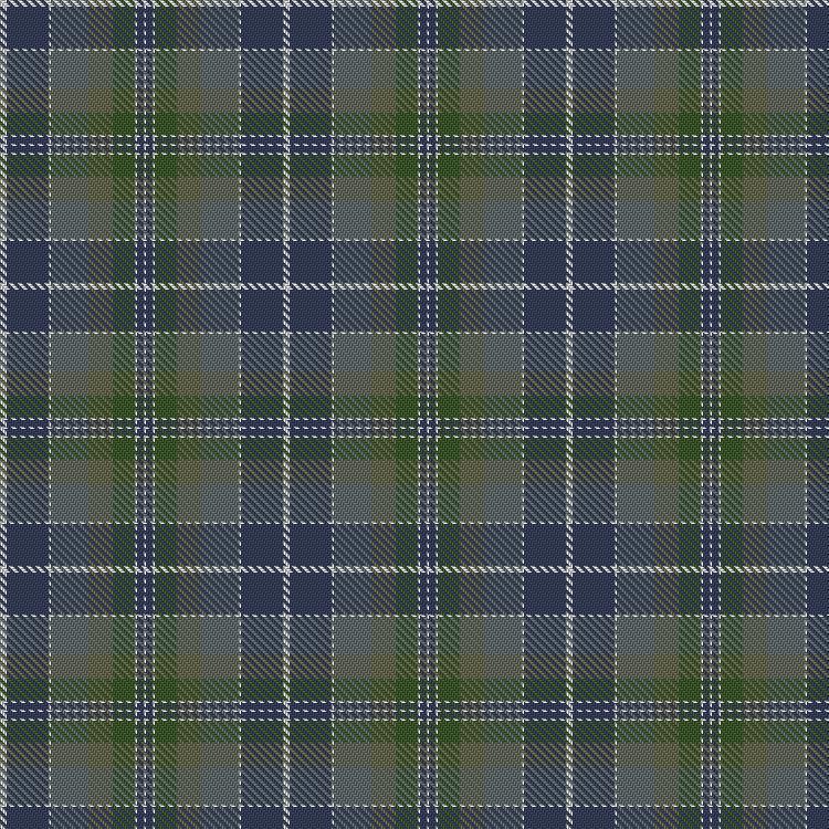 Tartan image: Bird Family (Australia) (Personal). Click on this image to see a more detailed version.