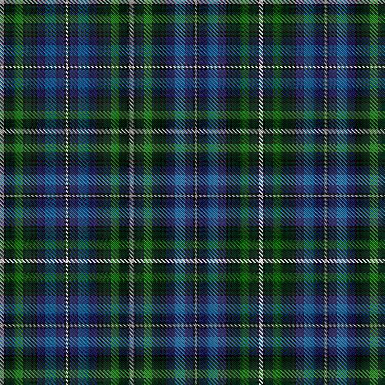 Tartan image: Dyer. Click on this image to see a more detailed version.
