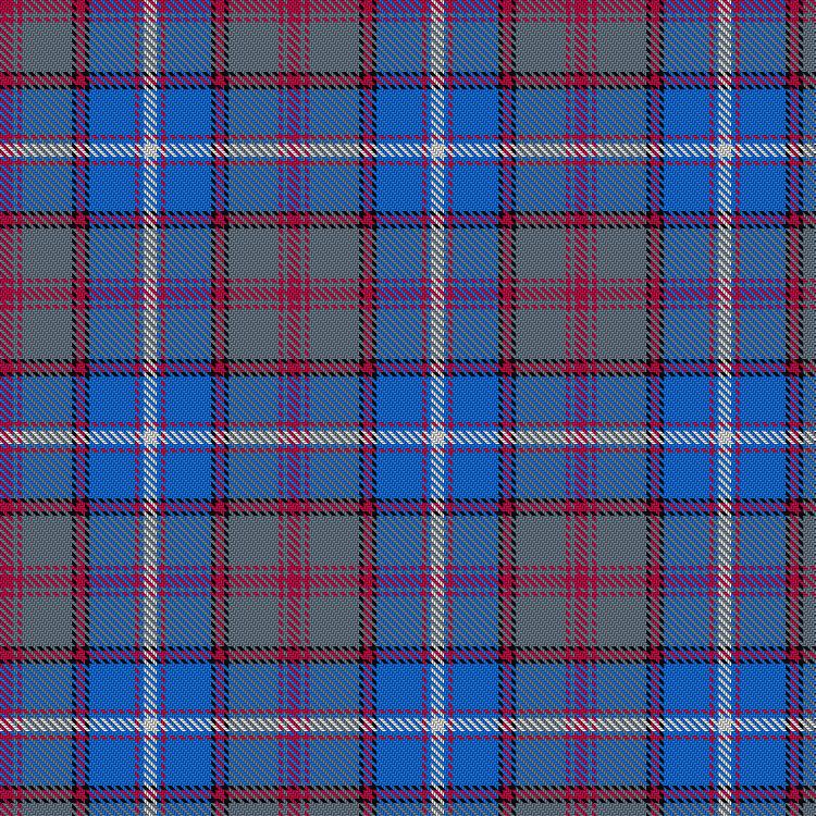 Tartan image: IRPA. Click on this image to see a more detailed version.