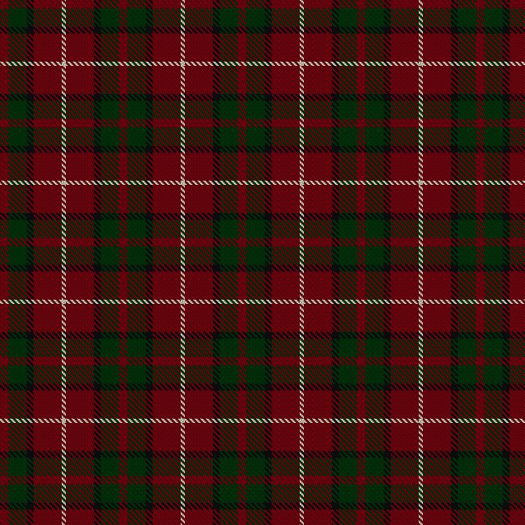 Tartan image: Ryutokukan Junior High School. Click on this image to see a more detailed version.
