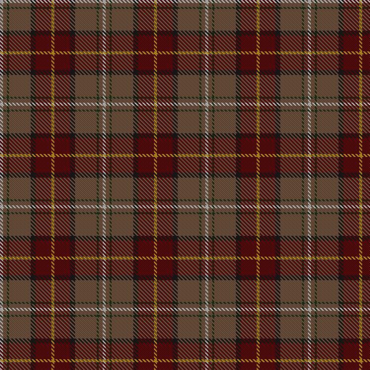 Tartan image: Pubcrawlers, The. Click on this image to see a more detailed version.