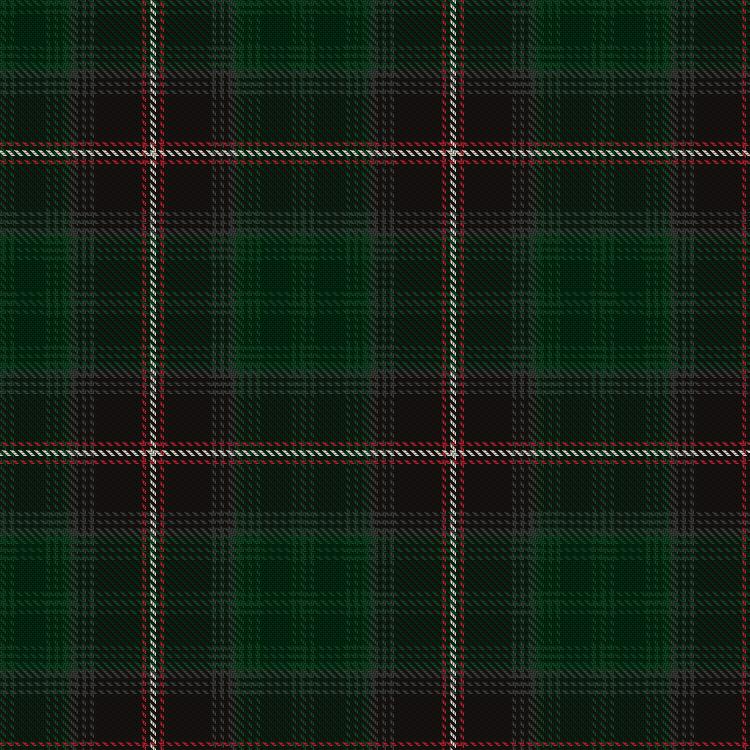 Tartan image: Barkway Wedding 2012. Click on this image to see a more detailed version.