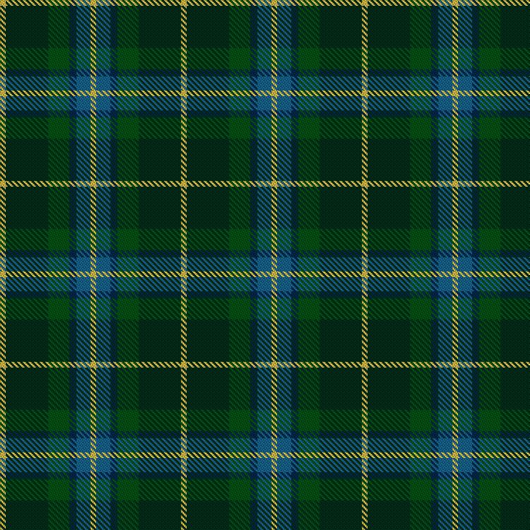 Tartan image: MPS Emerald Society NCLEES 2012. Click on this image to see a more detailed version.