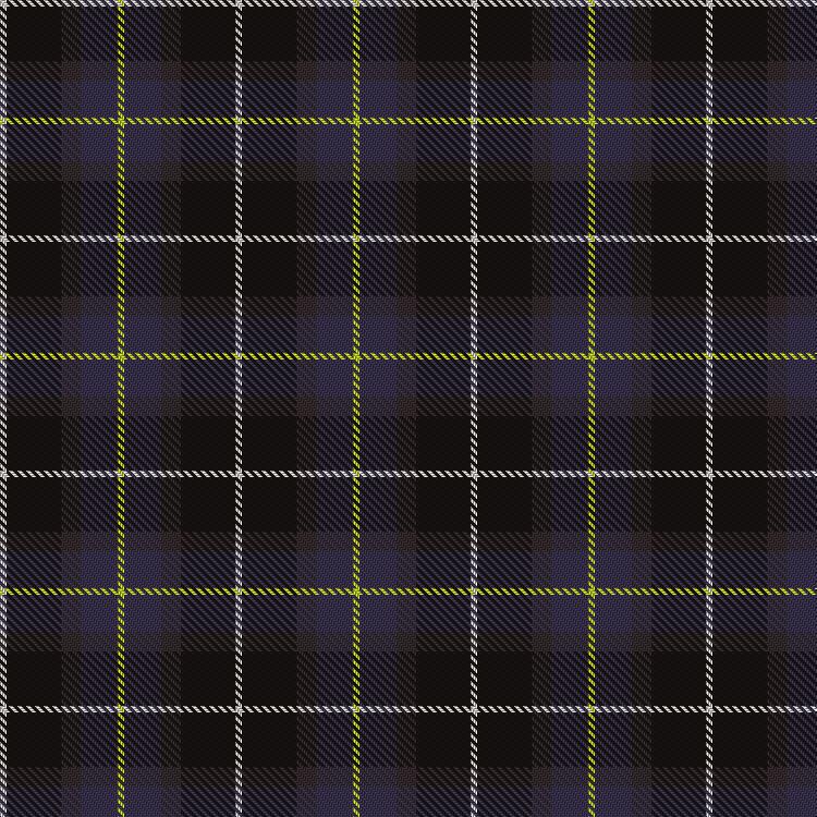 Tartan image: Teylu Coleman (Cornwall). Click on this image to see a more detailed version.