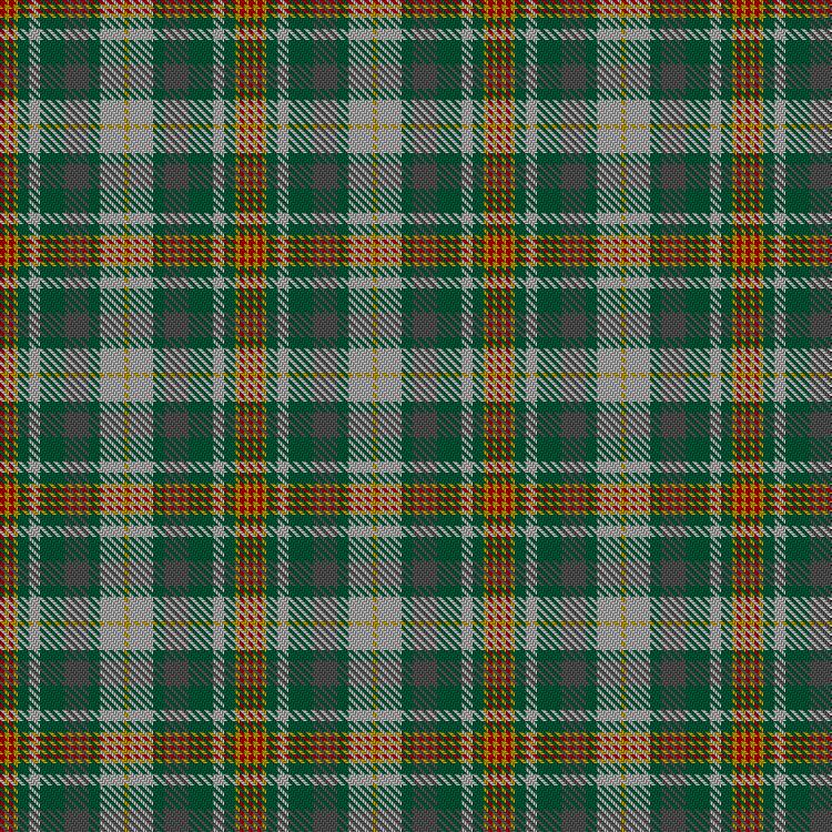 Tartan image: Vasseur Mignon (Personal). Click on this image to see a more detailed version.