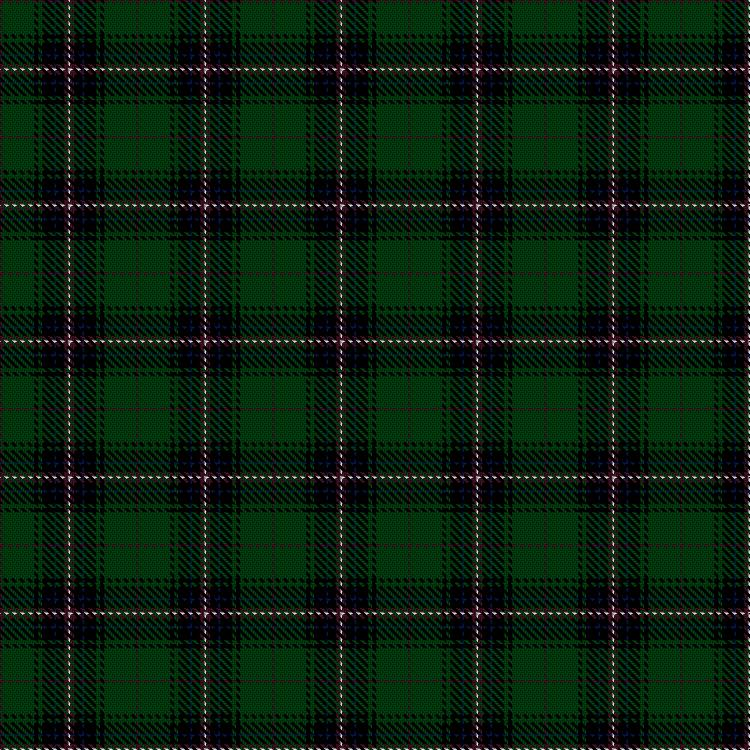 Tartan image: Derick Wardrope (Portobello) (Personal). Click on this image to see a more detailed version.