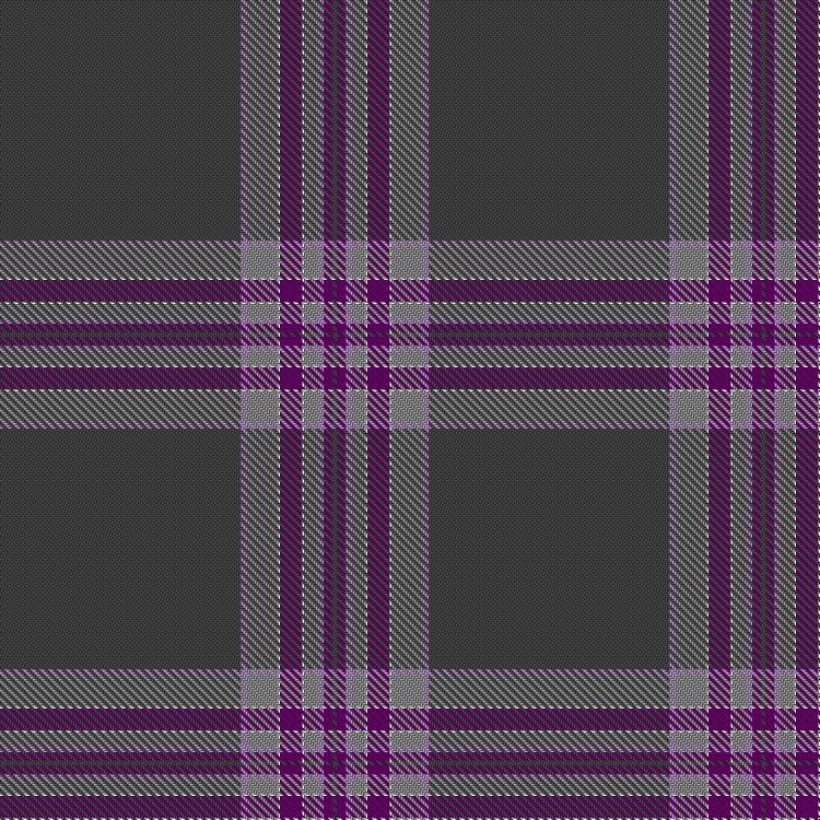 Tartan image: Vetoclock. Click on this image to see a more detailed version.