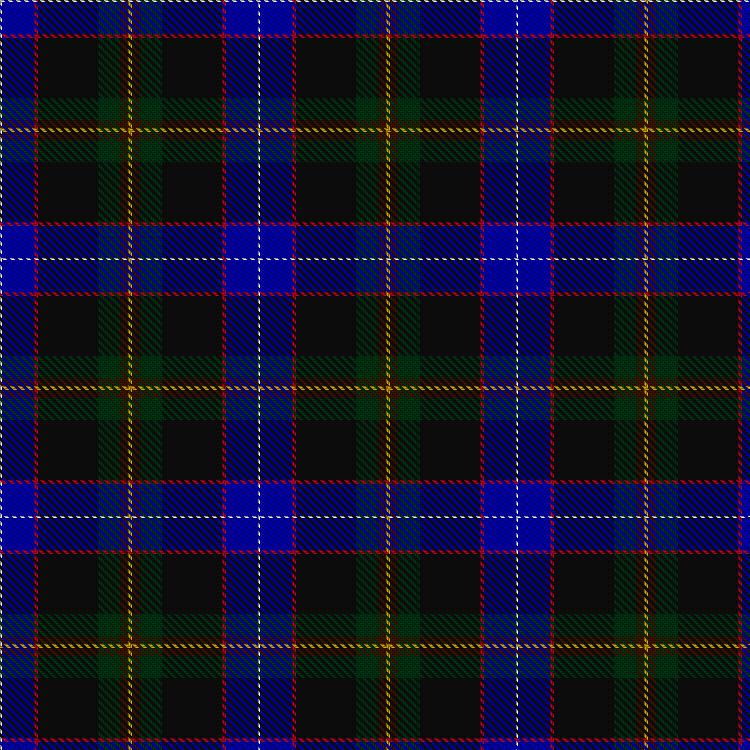 Tartan image: Buschke (Skye) (Personal). Click on this image to see a more detailed version.
