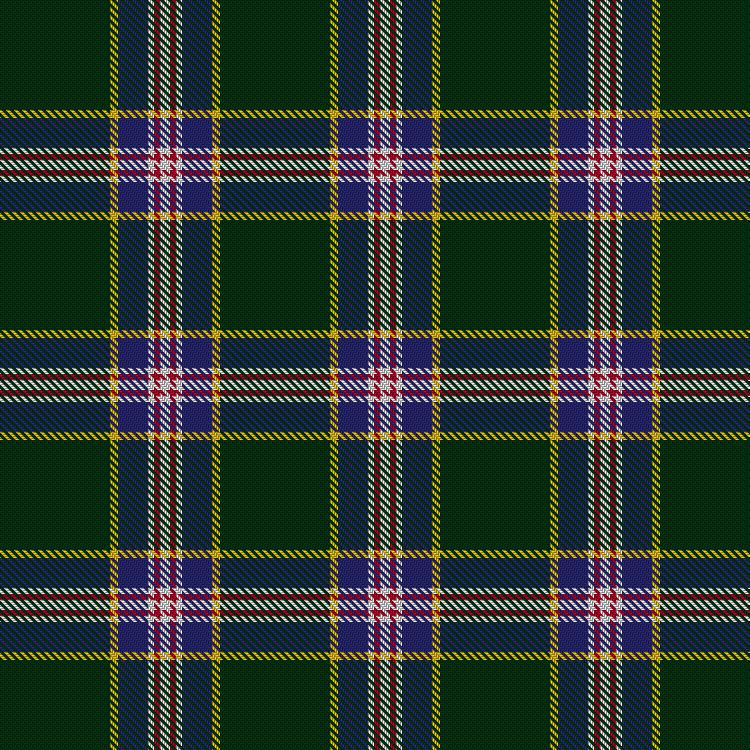 Tartan image: Spencer (2013). Click on this image to see a more detailed version.