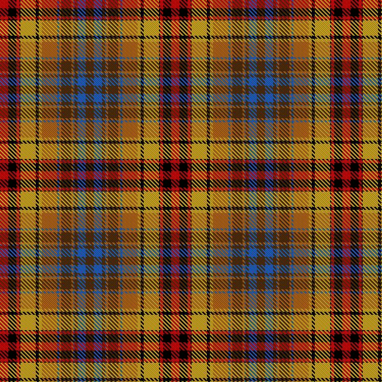 Tartan image: Du Lion. Click on this image to see a more detailed version.