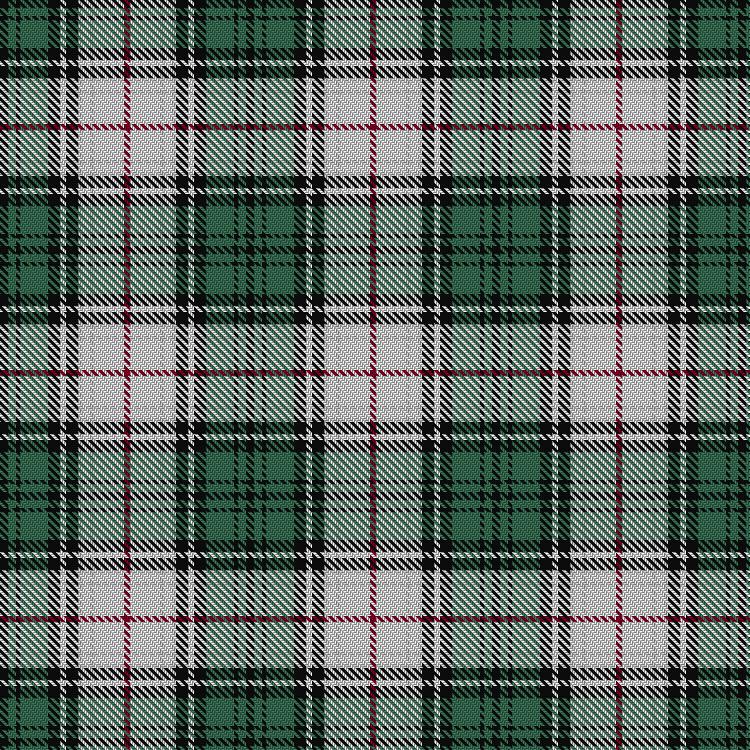 Tartan image: Hayama Shirt Honten, The. Click on this image to see a more detailed version.