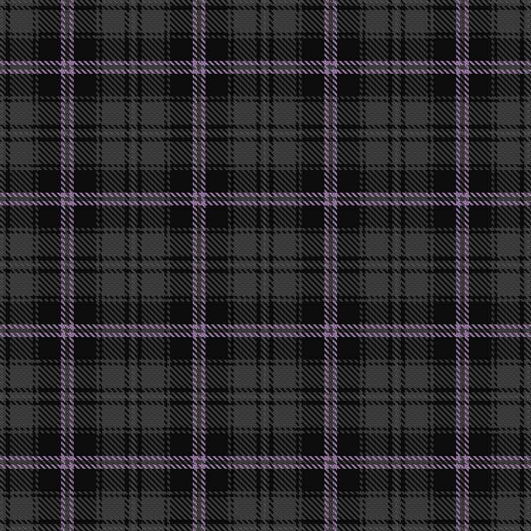 Tartan image: Chinzei Keiai Junior High School. Click on this image to see a more detailed version.