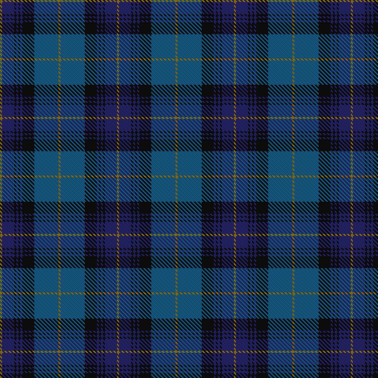 Tartan image: Elgin City Band. Click on this image to see a more detailed version.