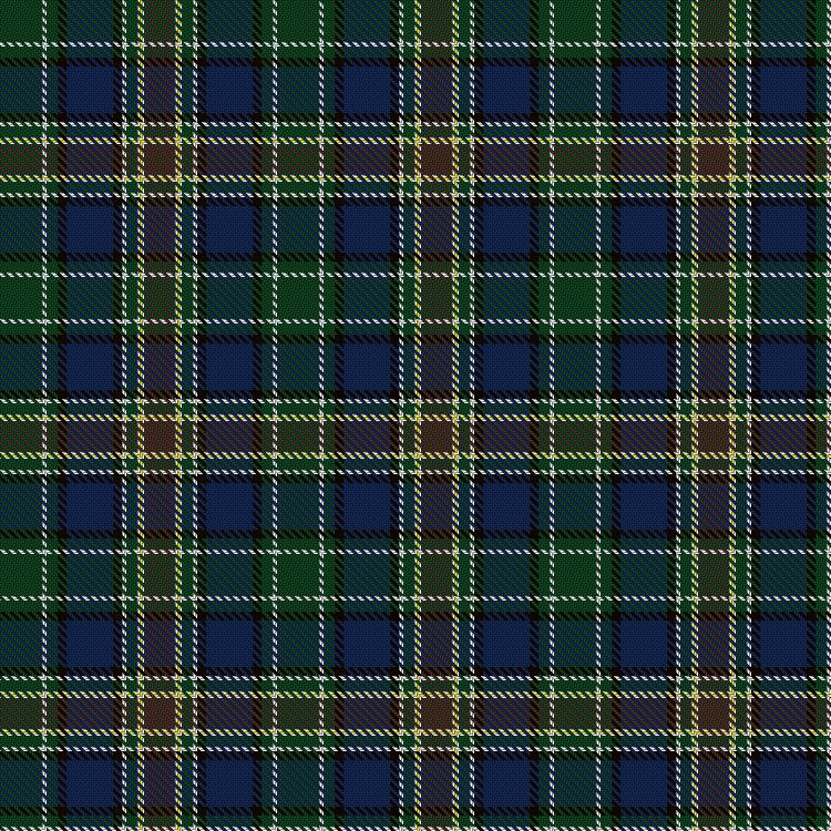 Tartan image: Womack (2014). Click on this image to see a more detailed version.