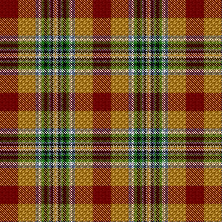 Tartan image: Aguilar Gorrondona Family (Personal). Click on this image to see a more detailed version.