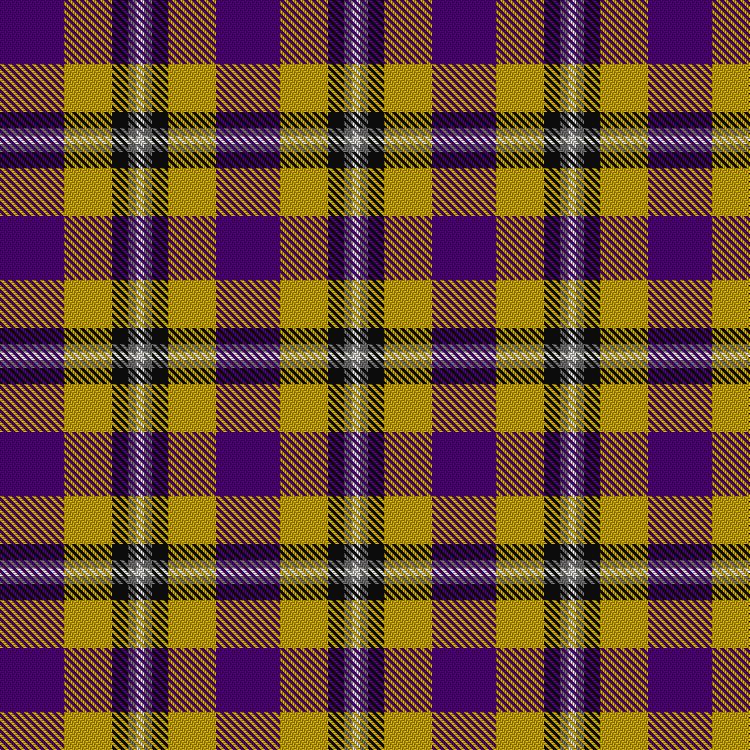 Tartan image: Ballater Victoria Week. Click on this image to see a more detailed version.