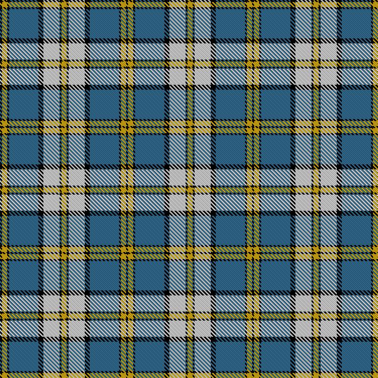 Tartan image: Children's Wish Foundation of Canada, The. Click on this image to see a more detailed version.