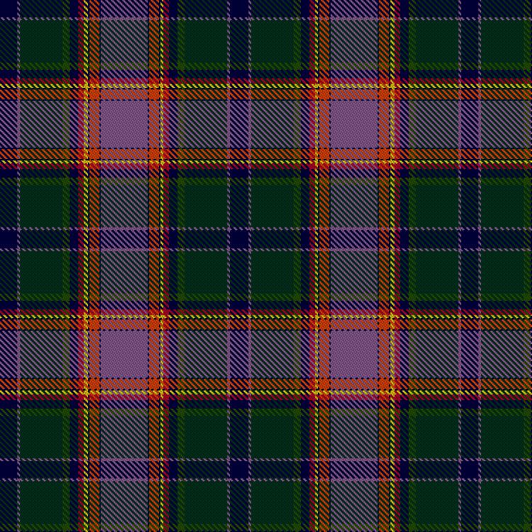 Tartan image: Dundee Carers Centre. Click on this image to see a more detailed version.