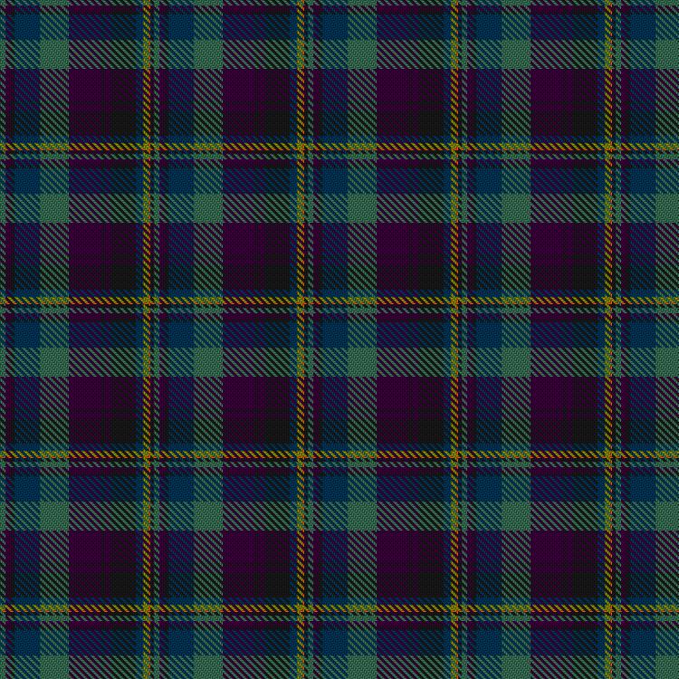 Tartan image: ENABLE Scotland. Click on this image to see a more detailed version.