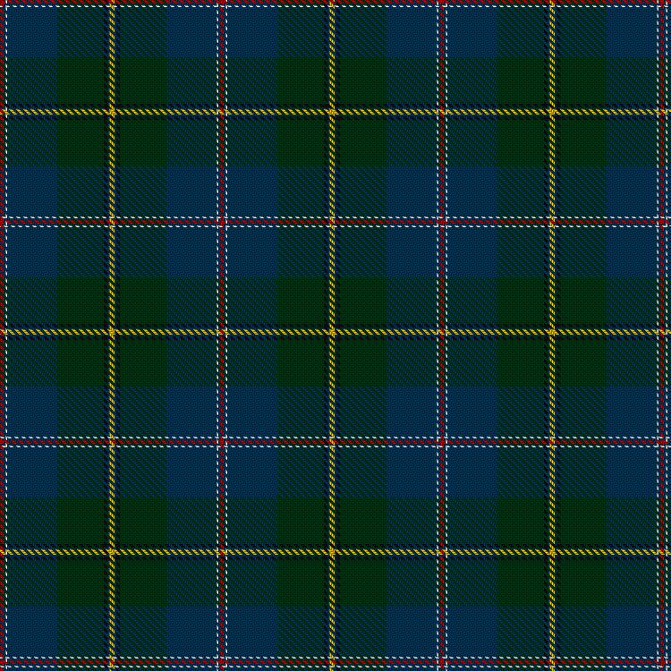 Tartan image: Johnston, Diana Hunting (Personal). Click on this image to see a more detailed version.